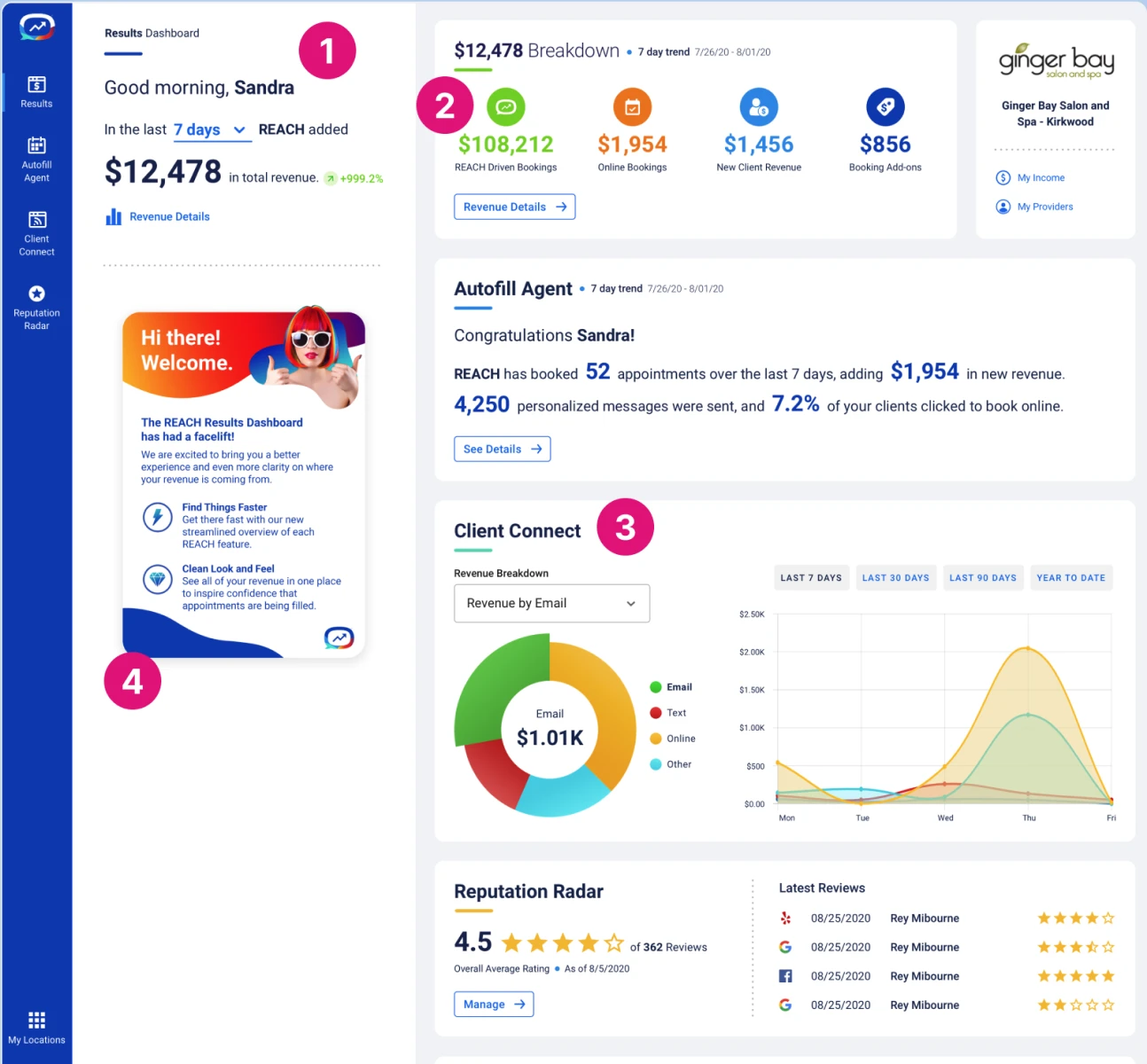Annotated REACH.ai dashboard with heuristic findings